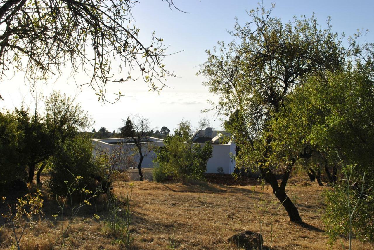 Villa Horizonte Puntagorda المظهر الخارجي الصورة